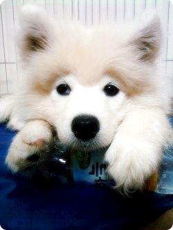 [550098cff9c55f2893457e05.jpg]