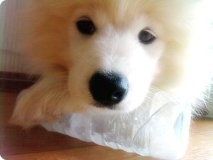 [e4cd5154d92148efb645ae06.jpg]