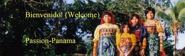 Bienvenido! (Welcome)