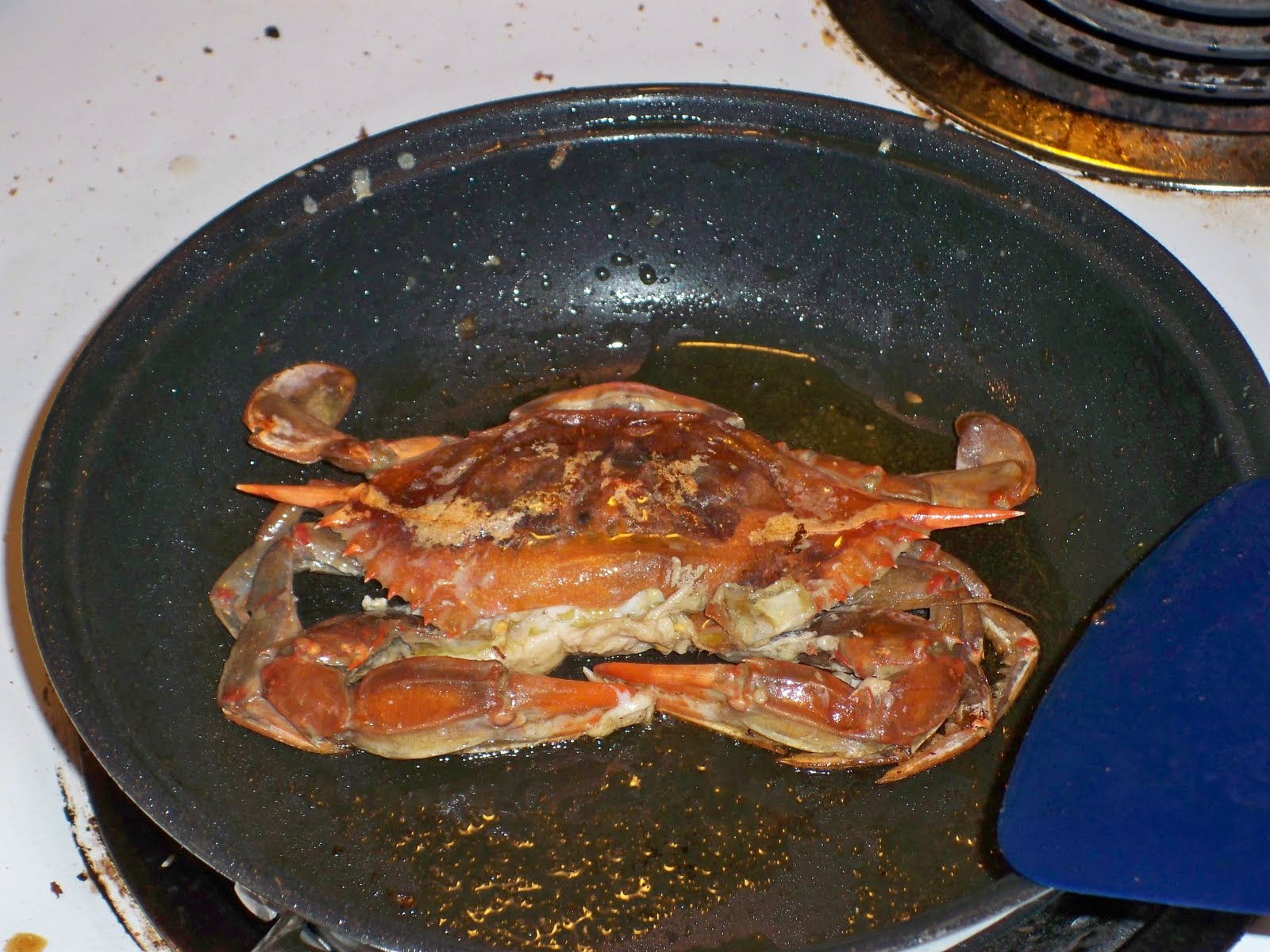 Soft Shell Crab Melt