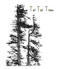 Tall Tall Trees