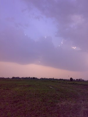 Sky, Trees, Clouds, Nature, Remote