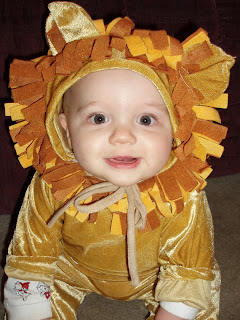 the cutest lion