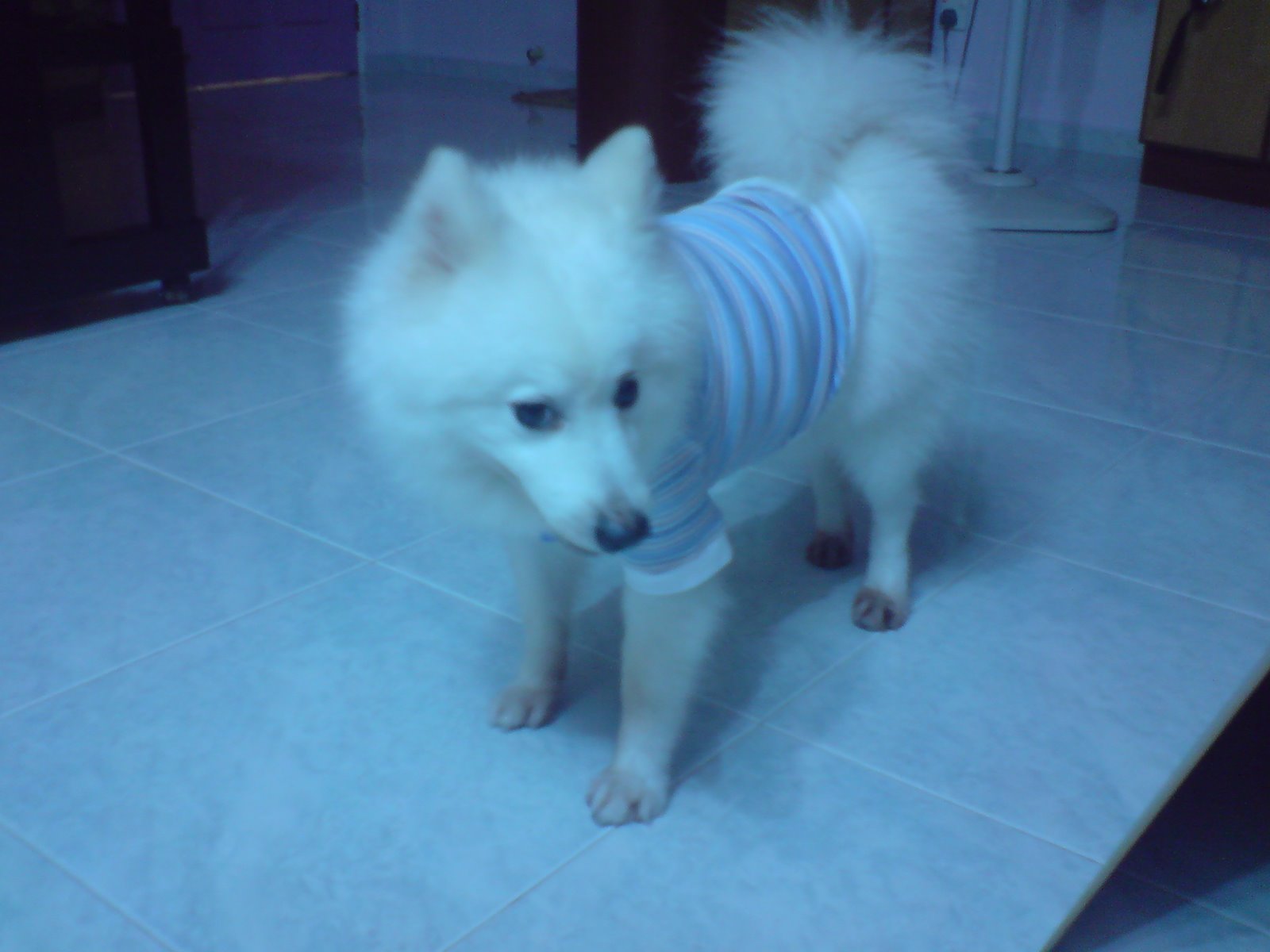 [DSC02529.JPG]