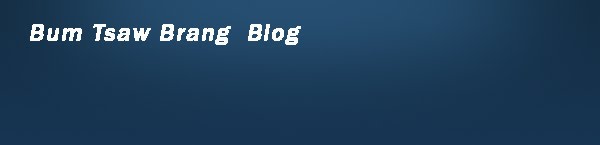 BBUMTSAW.BLOGSPOT.COM