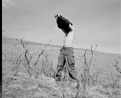 Susan Lipper Photography