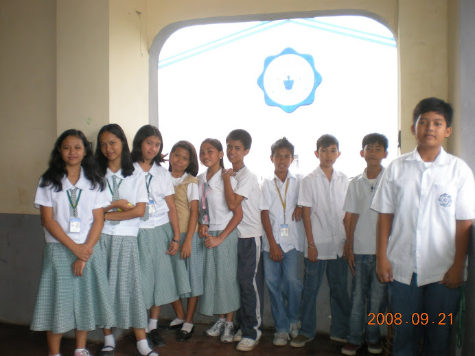 My Career Pathways Students - SY. 2008-2009