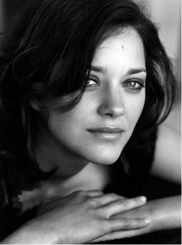 http://3.bp.blogspot.com/_FeEm9dqk6hc/THbYby6bdYI/AAAAAAAACVw/XbPBg2iKRDI/s1600/marioncotillard.jpg