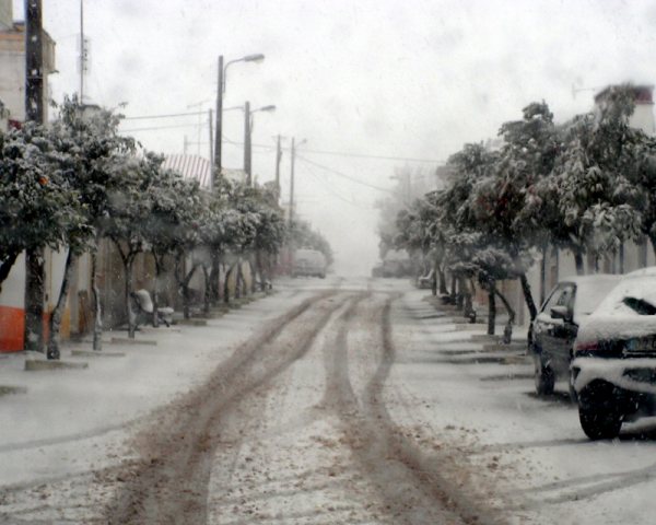 [Neve+II.JPG]
