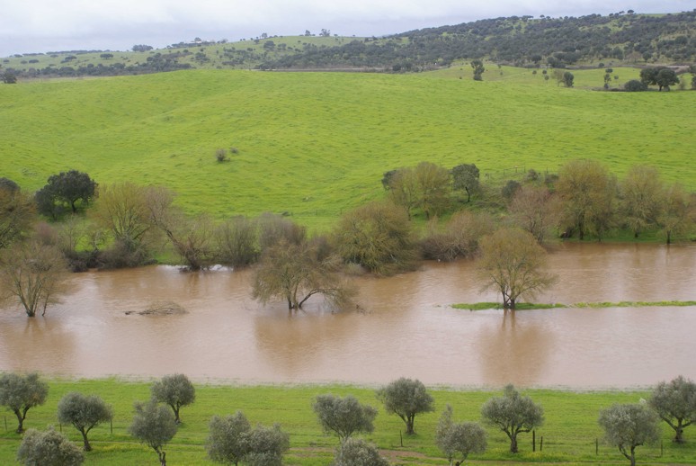 [A+transbordar...jpg]