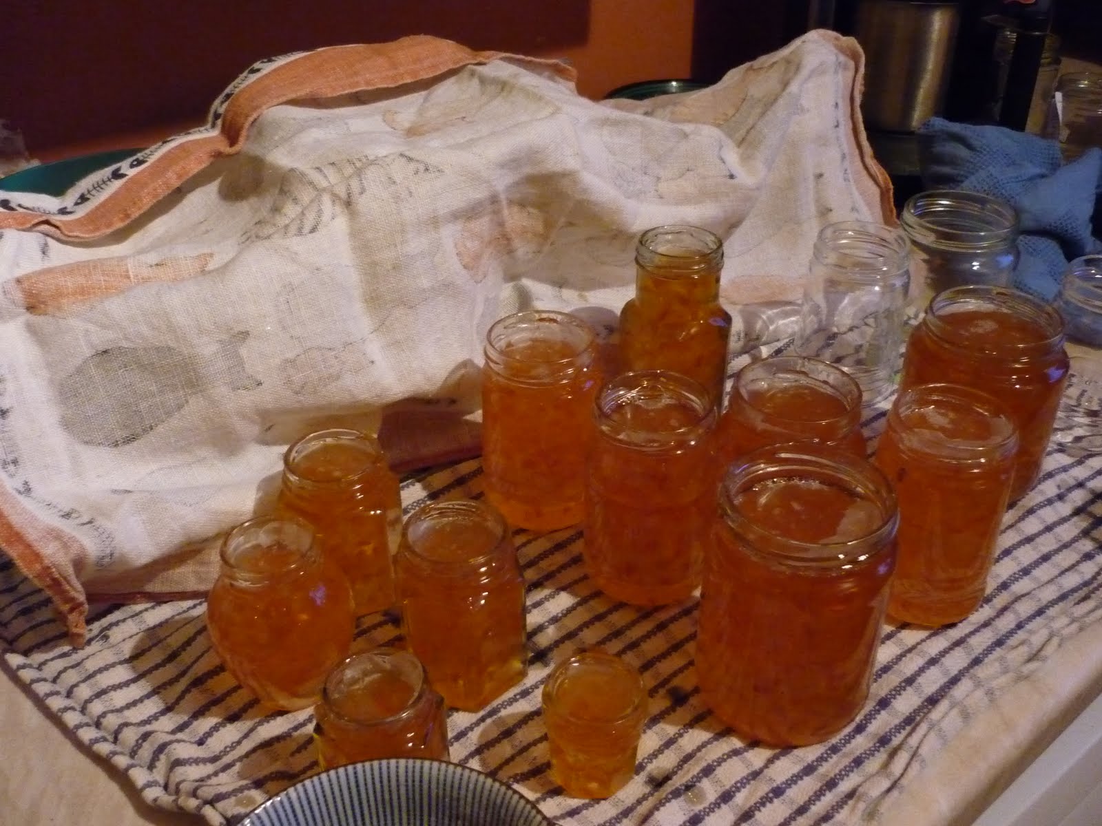 [P1010615.JPG]