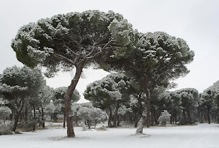 Tudela de Duero