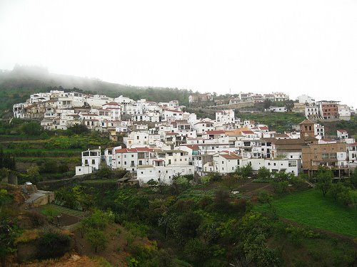 [3383476880_52fb3f967e.jpg]