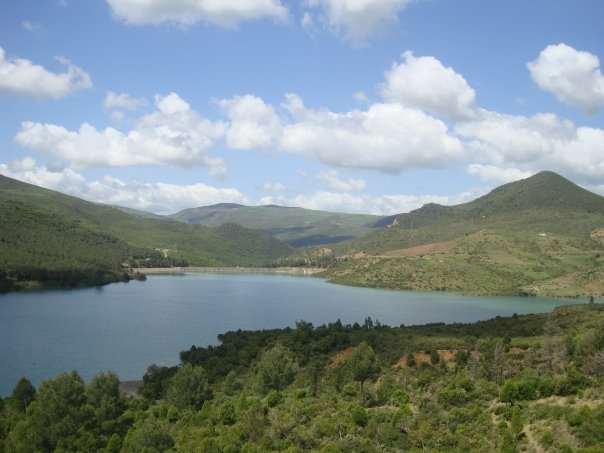 [n83302280_30941887_5138570.jpg]