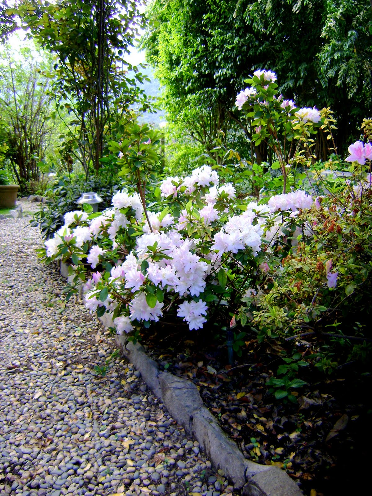 [Oct+1+al+10,+09+117.jpg]