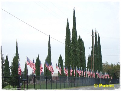 [flags-cemetery.JPG]