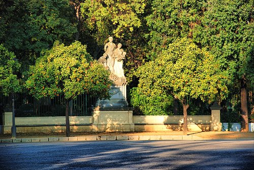 [sevilla+parque.jpg]