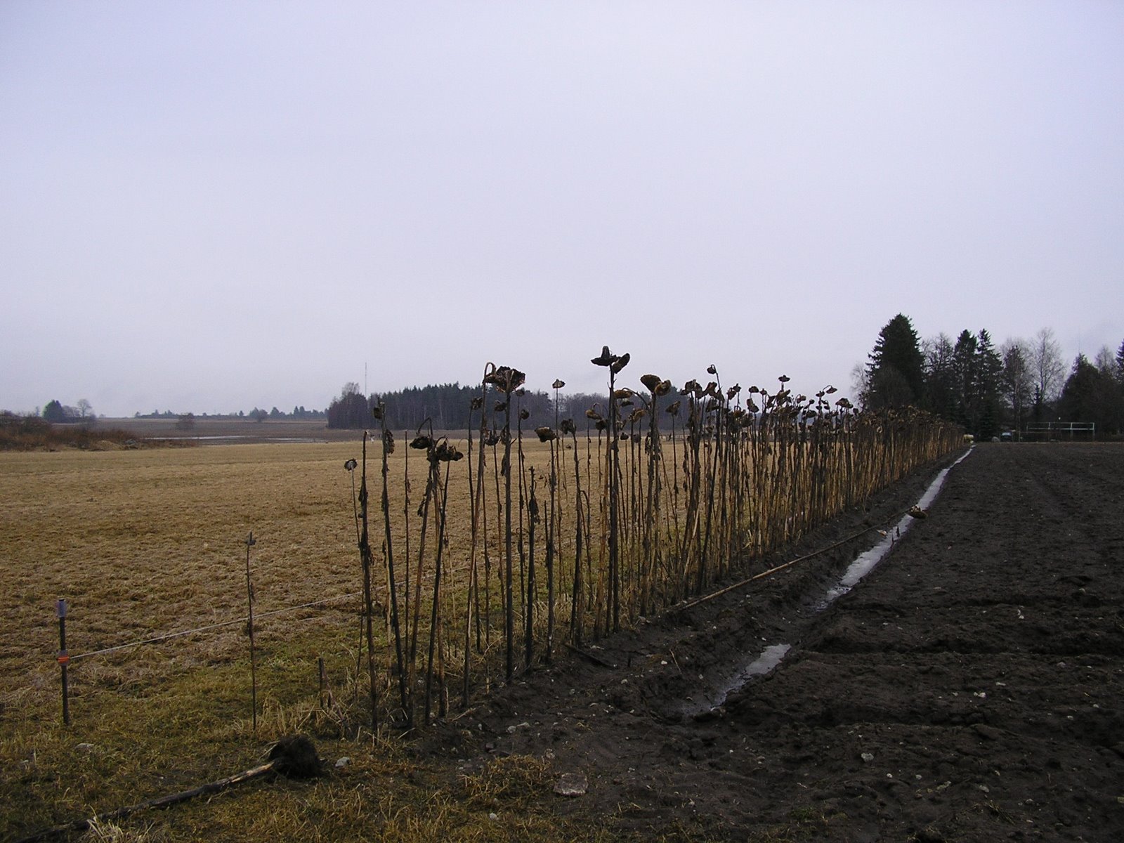 [P4039082.JPG]