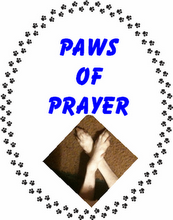 Paws Of Prayer