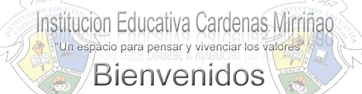 Institucion Educativa Cardenas Mirriñao