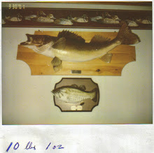 10lbs 1 oz in 2002 walleye  thanks to bert