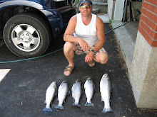Terry M. 1 rainbow 4 browns caught by wellington ontario july 2008