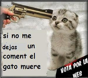 buenas buenas