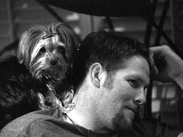 tom brady yorkie xoxo guys with adorable dogs tom brady yorkie xoxo guys with adorable dogs