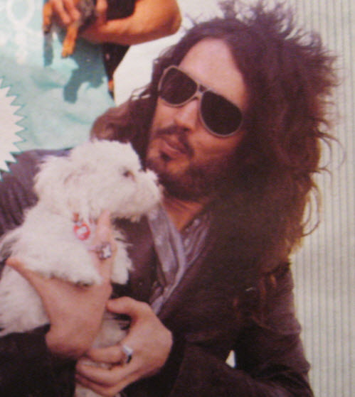 Celebrity Maltese