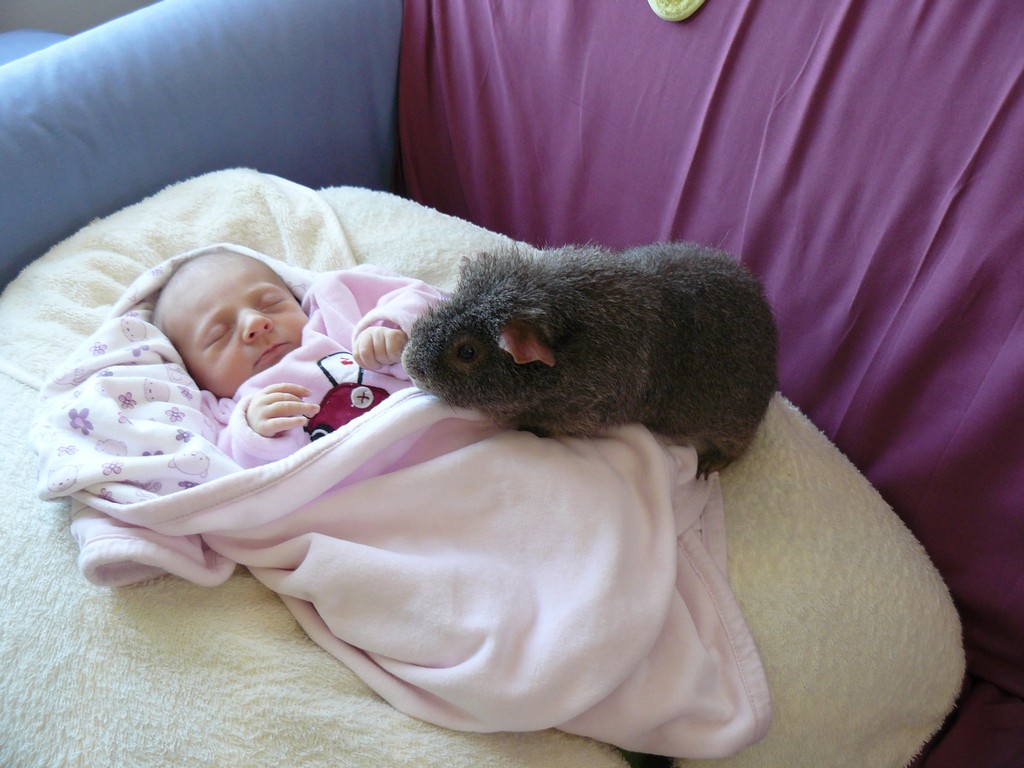 [Soline_et_Dobby00001.jpg]