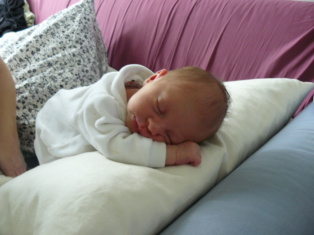 [Soline_light_2007-07-20_403.jpg]