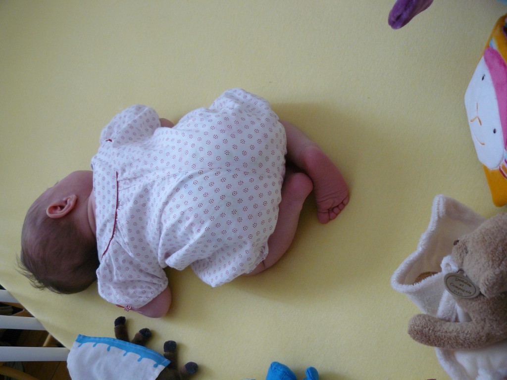 [Soline_light_2007-08-05_033.jpg]