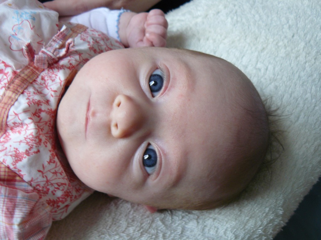 [Soline_light_2007-09-01_004.jpg]