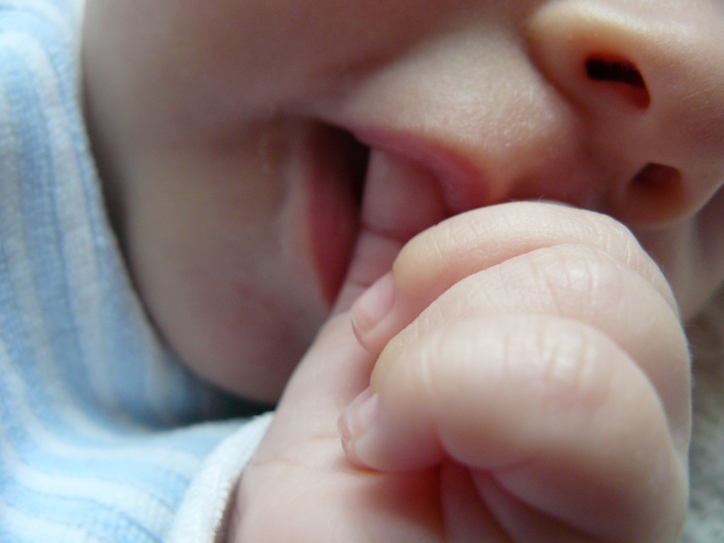 [Soline_light_2007-09-15_017.jpg]