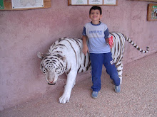 My Photo