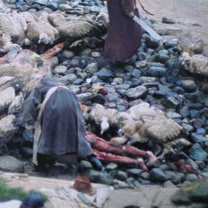 [Funeral-del-Cielo.jpg]