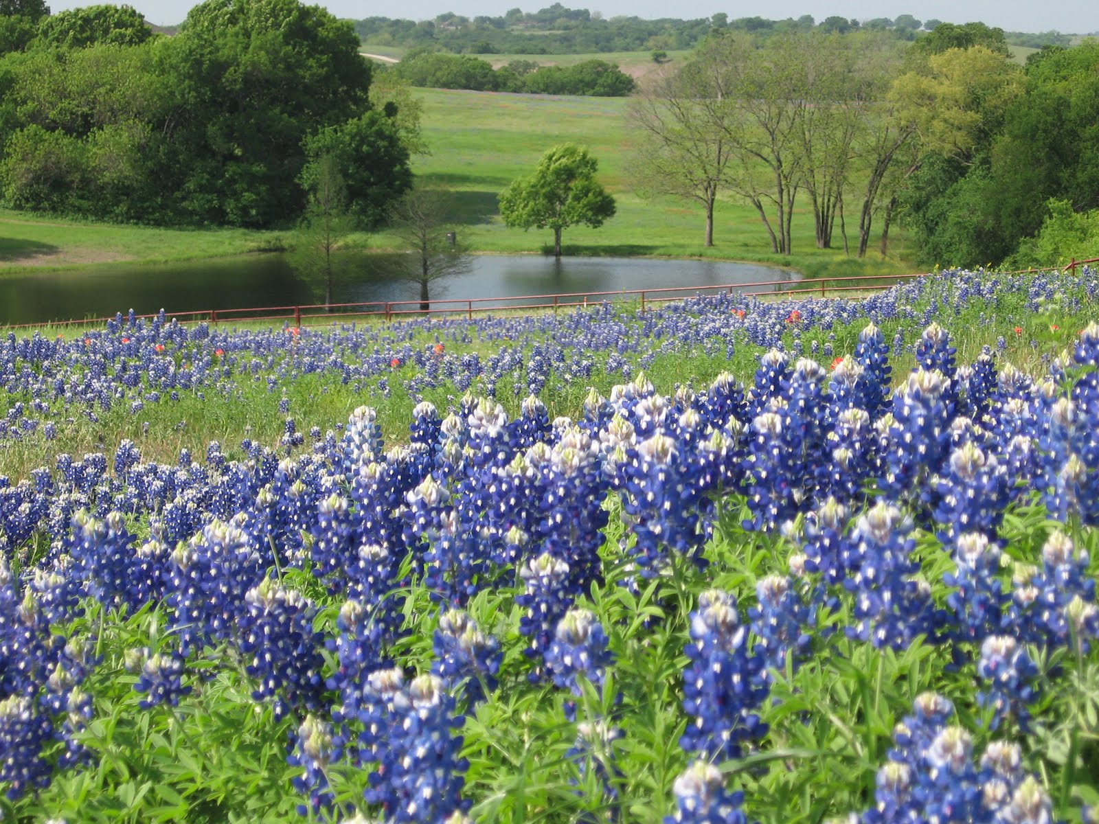On The Trail In Ennis, Texas with Gary Are Here!