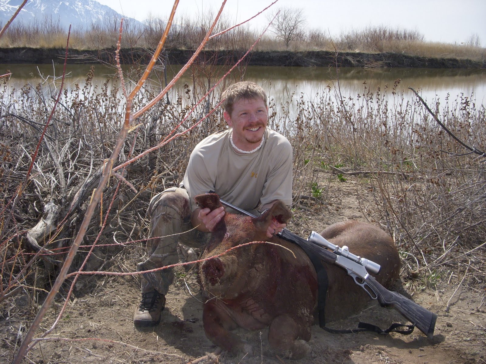 Fishpimp Hog hunt in Corinne.