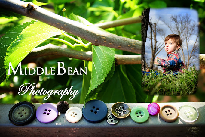 Middle Bean Photography