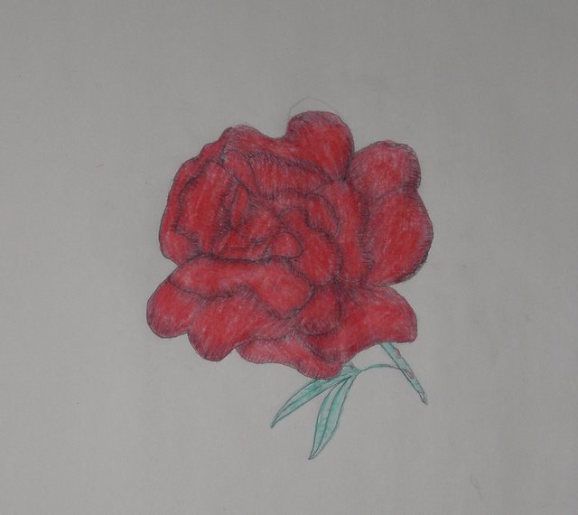 [PC220003.JPG]
