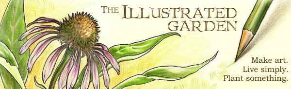 The Illustrated Garden
