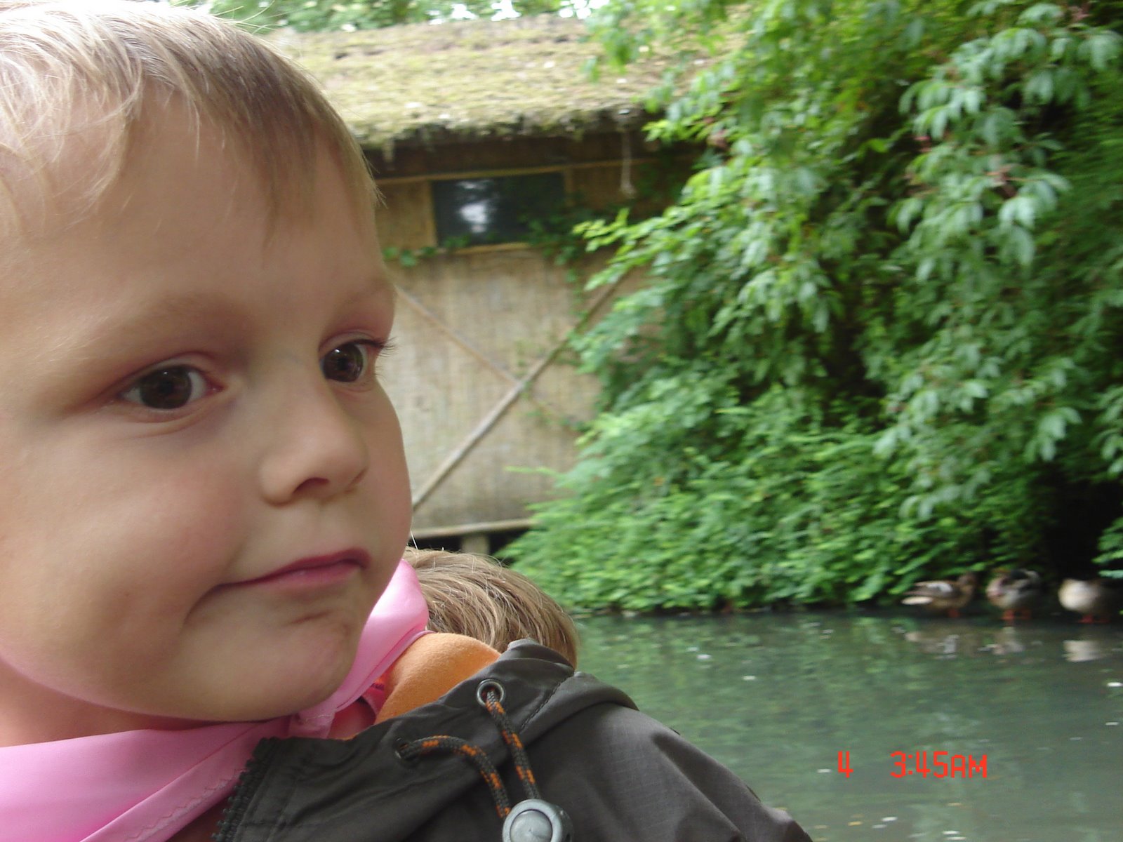 [DSC03220.JPG]