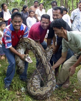 [python.jpg]