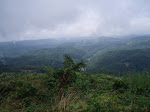 Hills Of Kentucky