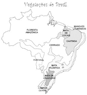 Blog GeoCriativo: Bacias Hidrográficas Brasileiras