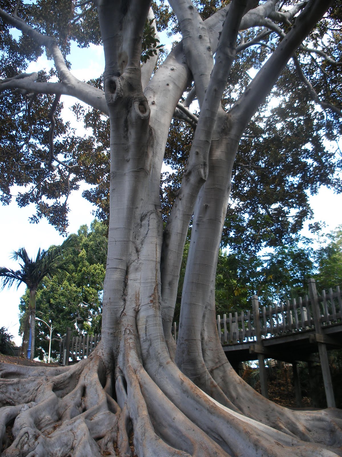 [DSCF1699.JPG]