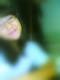 Foto saya