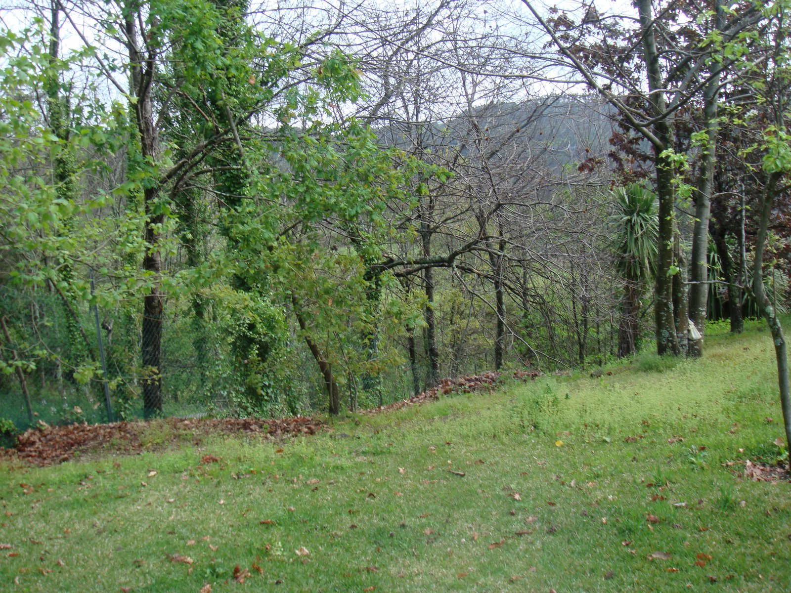 [DSC00032.JPG]