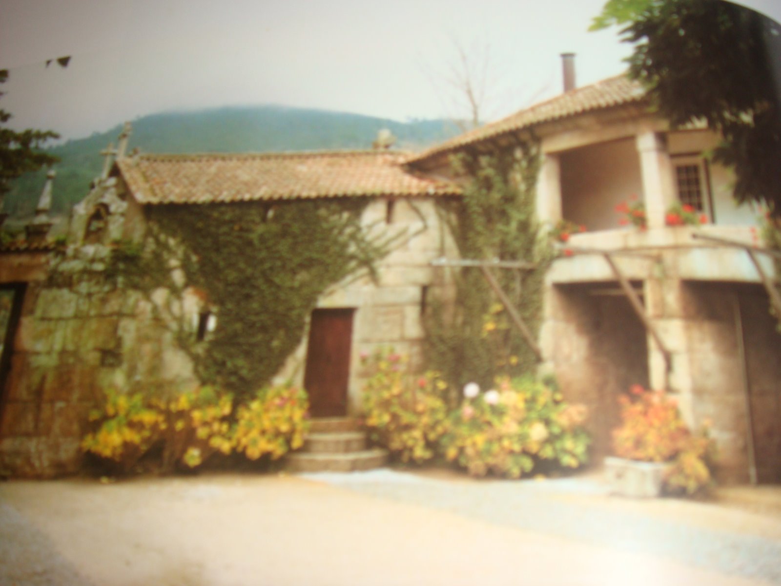[DSC00256.JPG]