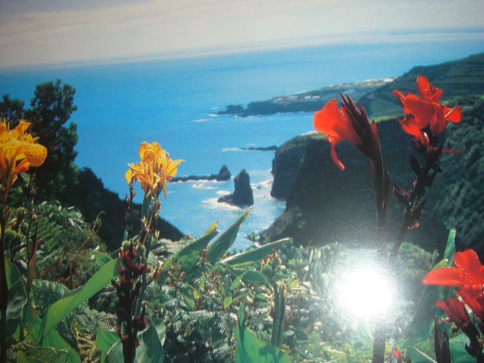[DSC00416.JPG]